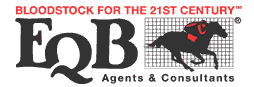 Welcome to EQB.com